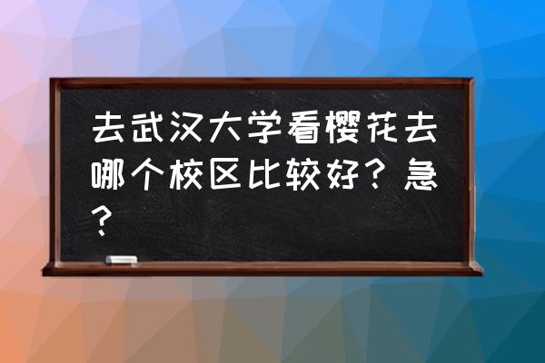 武大樱花地图攻略 去武汉大学看樱花去哪个校区比较好？急？