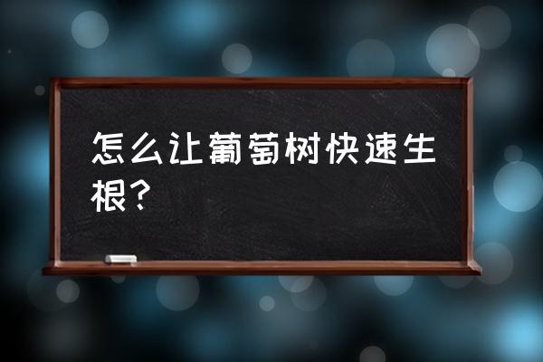 怎么让植物容易生根 怎么让葡萄树快速生根？