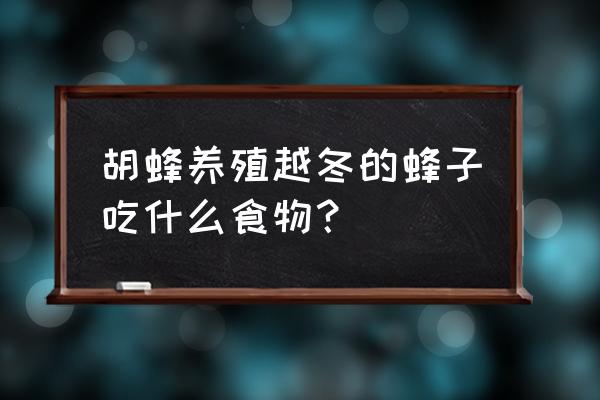 马蜂吃什么东西作为食物 胡蜂养殖越冬的蜂子吃什么食物？