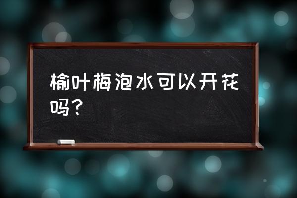 榆叶梅可以扦插吗 榆叶梅泡水可以开花吗？