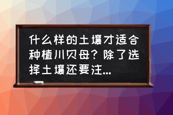 川贝母全套种植生产加工技术讲解 什么样的土壤才适合种植川贝母？除了选择土壤还要注意些什么？