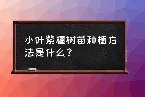 种植树的步骤和方法 小叶紫檀树苗种植方法是什么？