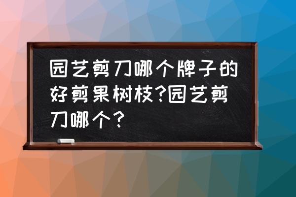 园艺剪刀什么牌子最好 园艺剪刀哪个牌子的好剪果树枝?园艺剪刀哪个？