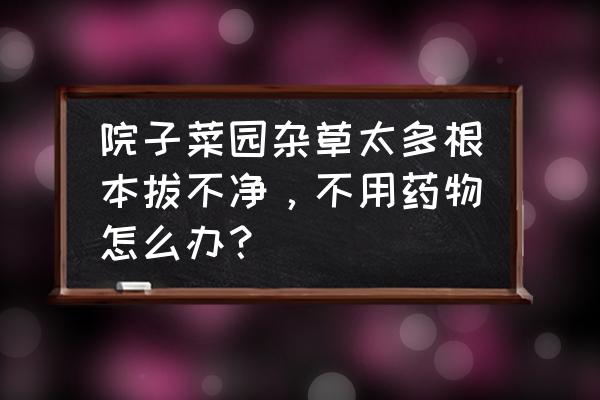 庭院里杂草太多 院子菜园杂草太多根本拔不净，不用药物怎么办？