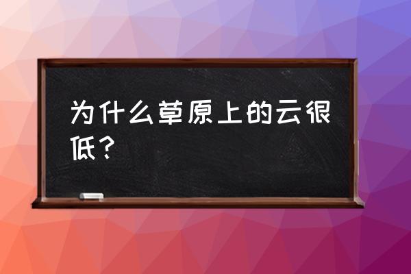 草原云融媒体app 为什么草原上的云很低？