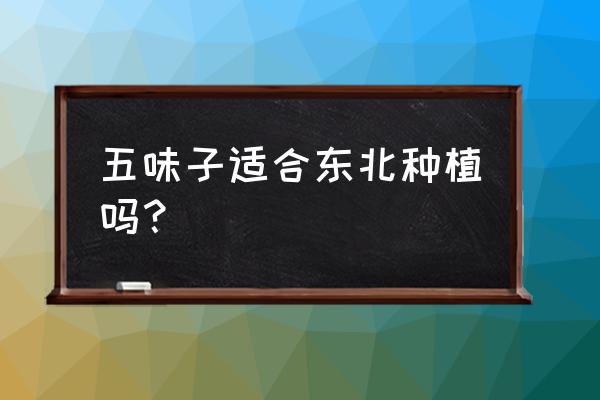 五味子家庭种植 五味子适合东北种植吗？