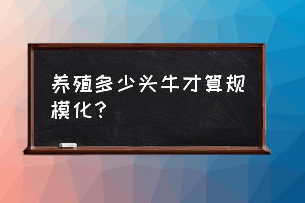 农户最多可以养殖多少肉牛 养殖多少头牛才算规模化？