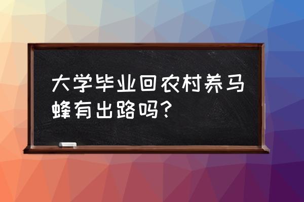 胡蜂养殖新手入门 大学毕业回农村养马蜂有出路吗？