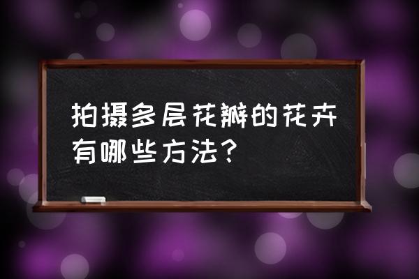 ps怎么把图片花型抠出来 拍摄多层花瓣的花卉有哪些方法？