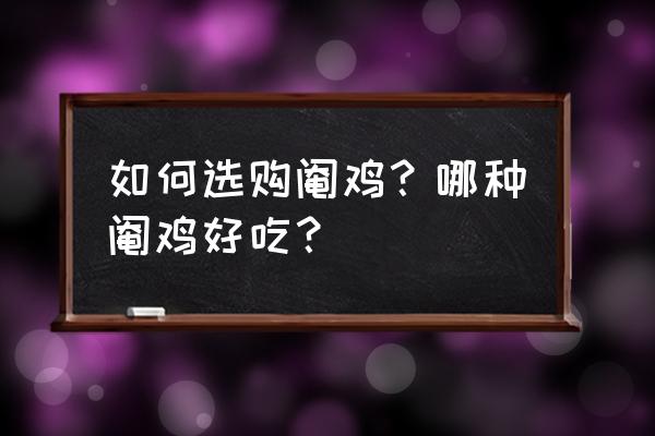 买一只土鸡怎么选 如何选购阉鸡？哪种阉鸡好吃？