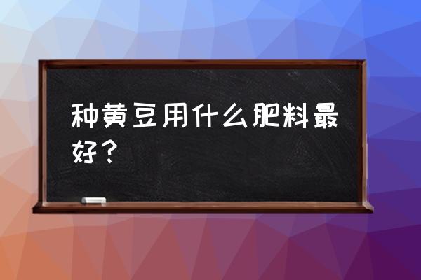 种黄豆的最佳时间和方法 种黄豆用什么肥料最好？