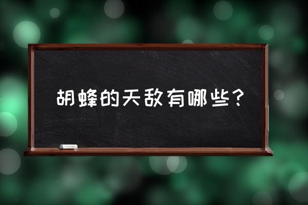 怎样消灭胡蜂巢最有效 胡蜂的天敌有哪些？