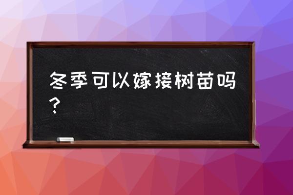 嫁接树苗的简单方法 冬季可以嫁接树苗吗？