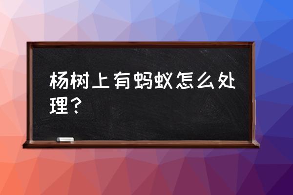 树上的鸟怎么能赶走 杨树上有蚂蚁怎么处理？