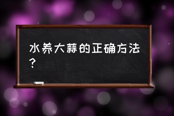 水养大蒜怎样长得粗壮 水养大蒜的正确方法？