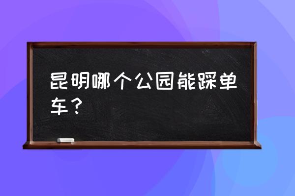 大观湿地公园坐什么车 昆明哪个公园能踩单车？