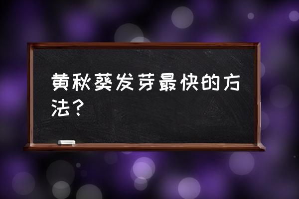 秋葵怎么催芽最快 黄秋葵发芽最快的方法？