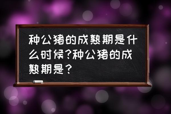 种公猪的管理可以从哪些方面进行 种公猪的成熟期是什么时候?种公猪的成熟期是？