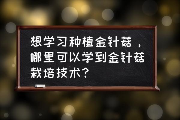 自己在家怎么种金针菇几天长出来 想学习种植金针菇，哪里可以学到金针菇栽培技术？