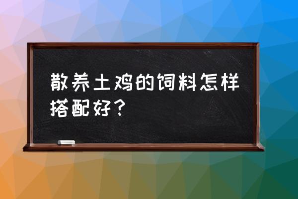 散养土鸡的使用方法有哪些 散养土鸡的饲料怎样搭配好？