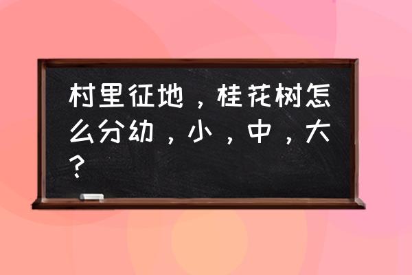 全民小镇种好的苹果树怎么移掉 村里征地，桂花树怎么分幼，小，中，大？