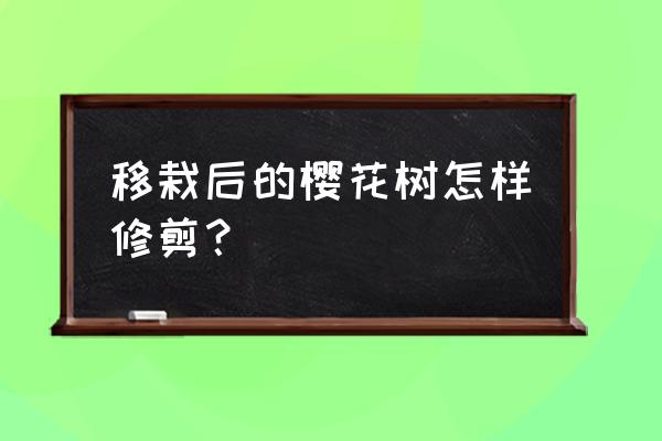 樱花树现在可以剪枝吗可以去头吗 移栽后的樱花树怎样修剪？