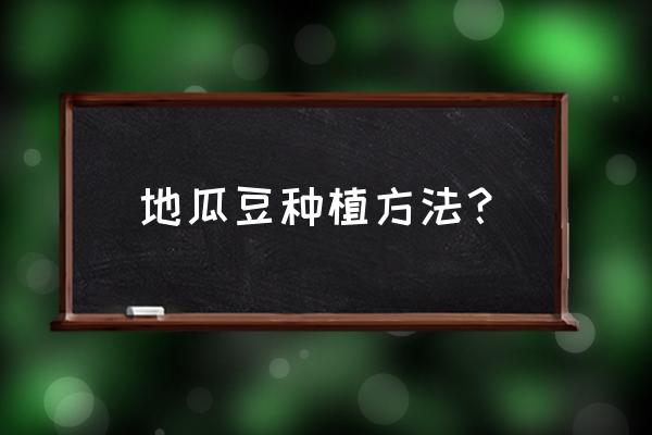 凉薯种植全过程及施工方案 地瓜豆种植方法？