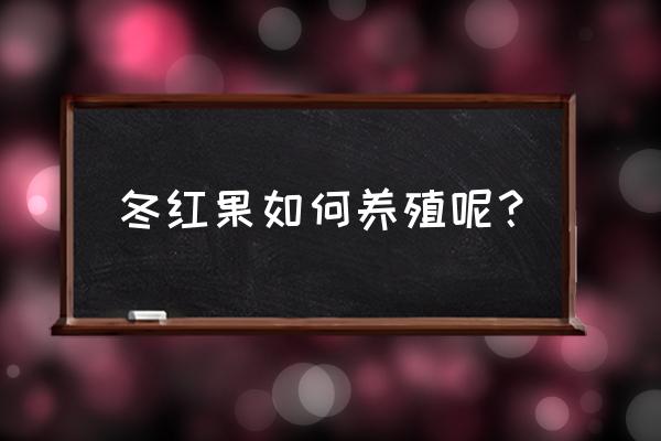 食心虫最怕什么药 冬红果如何养殖呢？