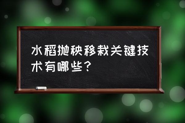 抛秧育苗一般要什么型号的抛秧盘 水稻抛秧移栽关键技术有哪些？