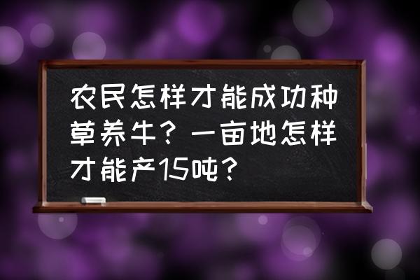 牛肉喂料最正宗的做法 农民怎样才能成功种草养牛？一亩地怎样才能产15吨？