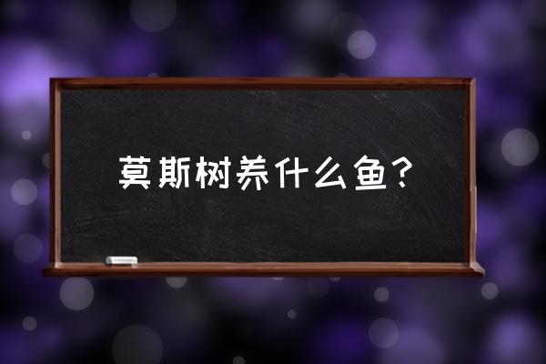 哪种莫斯水草最好养 莫斯树养什么鱼？