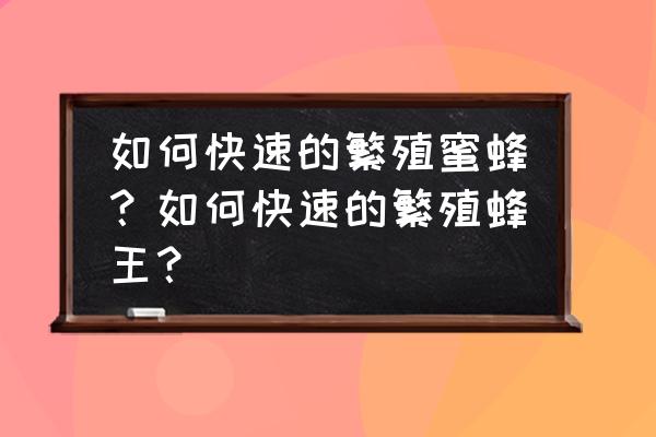 塑料盘手工制作蜜蜂 如何快速的繁殖蜜蜂？如何快速的繁殖蜂王？