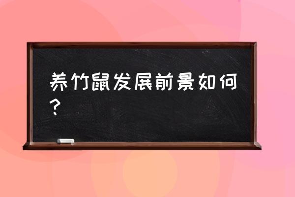 竹鼠的养殖条件和技术大全 养竹鼠发展前景如何？