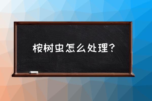 果园白蚁彻底消灭的方法 桉树虫怎么处理？