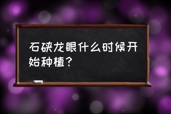 盆栽桂圆小苗的修剪方法 石硖龙眼什么时候开始种植？