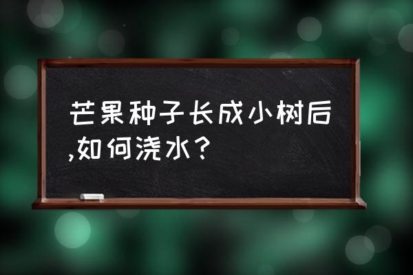 芒果盆栽发芽技巧 芒果种子长成小树后,如何浇水？