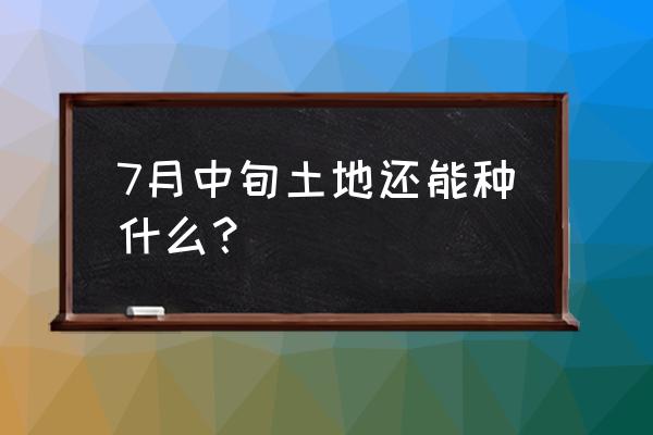 蛇目菊种植方法和注意事项 7月中旬土地还能种什么？