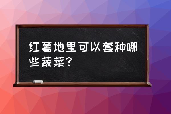 三种蔬菜不能和哪些菜一起吃 红薯地里可以套种哪些蔬菜？