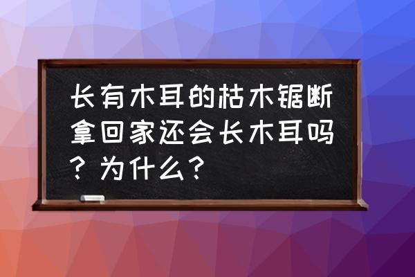 野生木耳怎么样让它继续生长 长有木耳的枯木锯断拿回家还会长木耳吗？为什么？