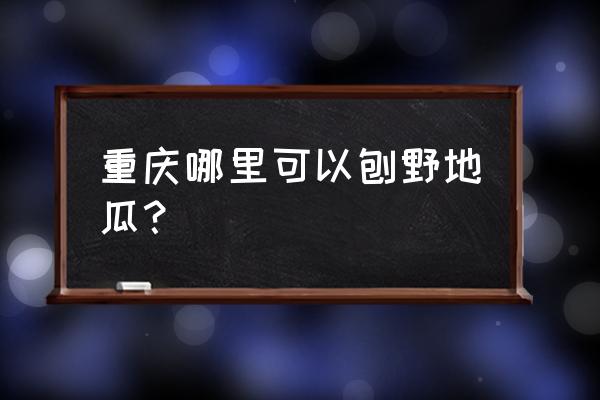 刨红薯最快的方法 重庆哪里可以刨野地瓜？