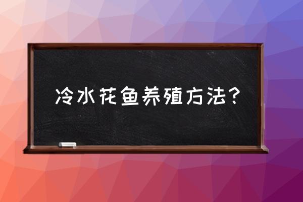 米糠喂鱼正确方法 冷水花鱼养殖方法？