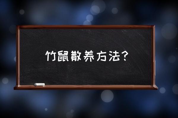 竹鼠喜欢怎样的环境 竹鼠散养方法？