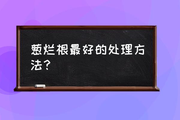 大葱烂根黄叶干尖怎么防治 葱烂根最好的处理方法？