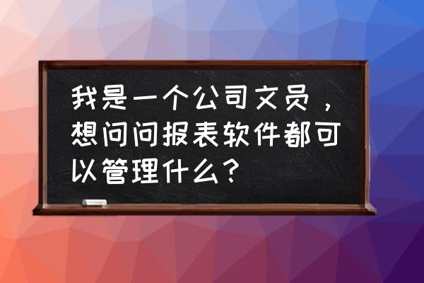 报表管理功能应支持什么生成报表 我是一个公司文员，想问问报表软件都可以管理什么？