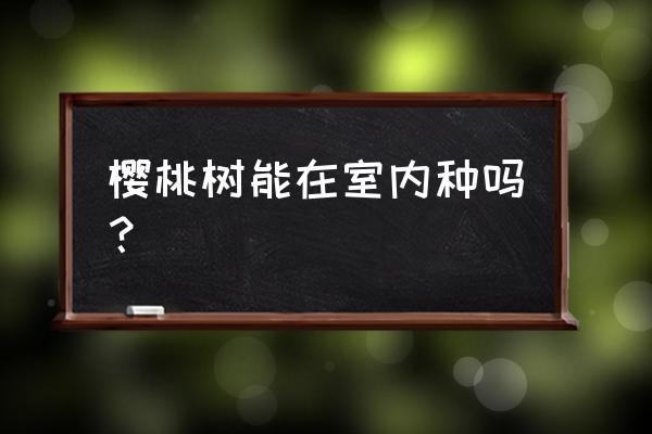 樱桃种子室内怎么种植 樱桃树能在室内种吗？