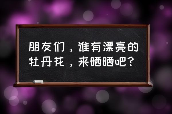 武汉牡丹园赏花最佳时间 朋友们，谁有漂亮的牡丹花，来晒晒吧？