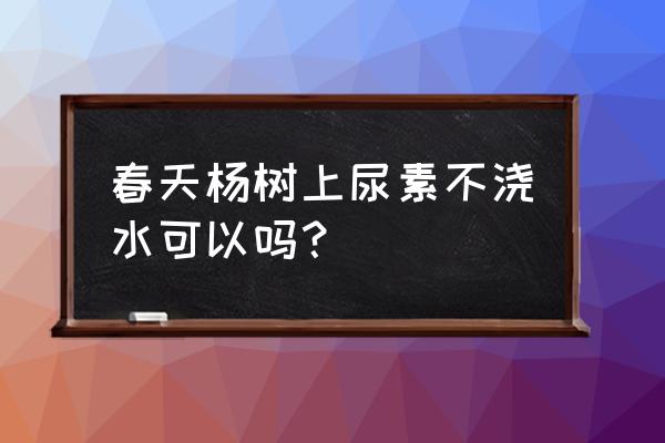 碳酸氢铵浇水方法 春天杨树上尿素不浇水可以吗？