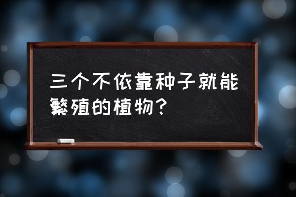 葡萄怎么不用种子就可以种 三个不依靠种子就能繁殖的植物？