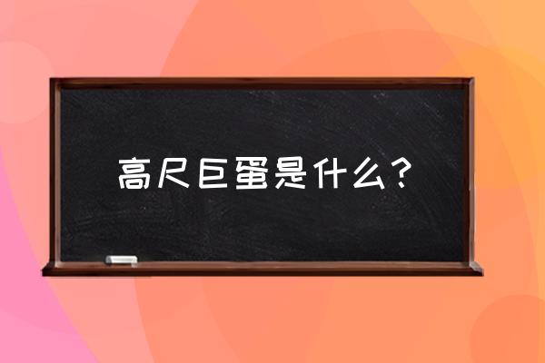 首尔最佳拍照地点室内 高尺巨蛋是什么？