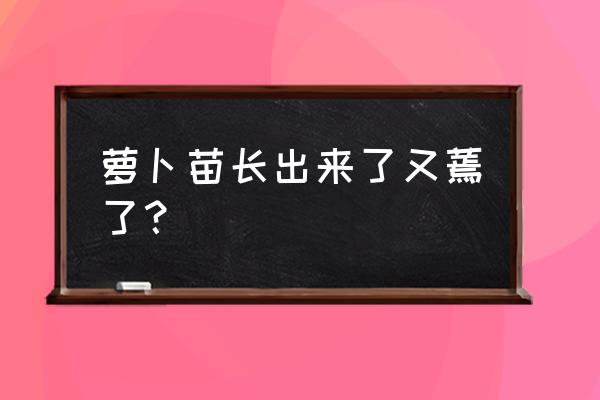 青萝卜出苗后喷什么药防治病虫害 萝卜苗长出来了又蔫了？